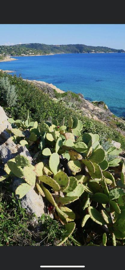 Holiday home La Dolce Mazet A Golfe De Saint Tropez *