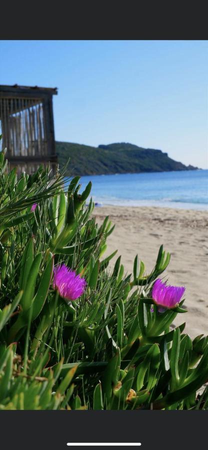 La Dolce Mazet A Golfe De Saint Tropez Hébergement de vacances Gassin